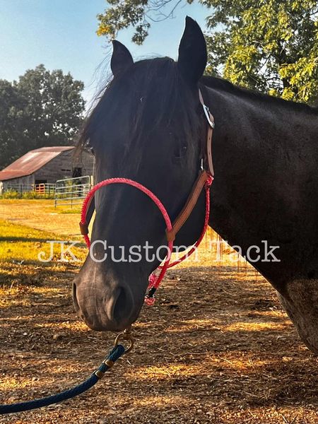 WORK HORSE HALTER