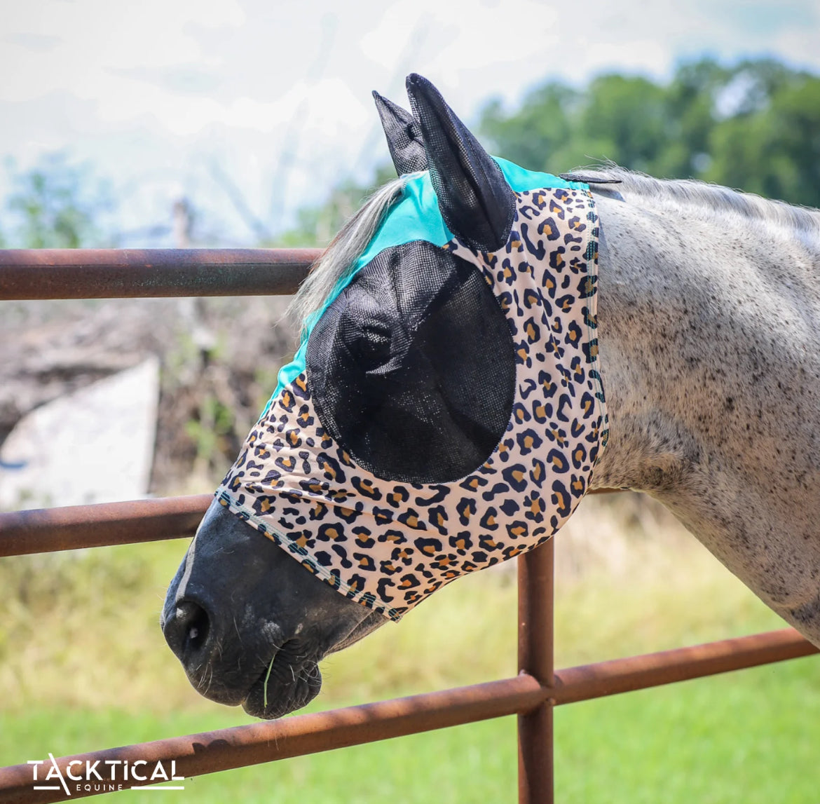 Tacktical Leopard & Mint Fly Mask